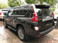 Đồ chơi, đồ trang trí, phụ kiện Toyota Prado VX 2018