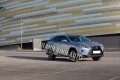 Đồ chơi, đồ trang trí, phụ kiện độ xe Lexus RX450hL 2019