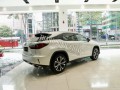 Đồ chơi, đồ trang trí, phụ kiện độ xe Lexus RX 300 2019