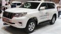 Đồ chơi, đồ trang trí, phụ kiện độ xe Toyota Land Cruiser Prado 2020